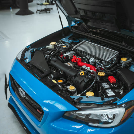 Engine bay degreasing removing buildup and grime from vehicle components